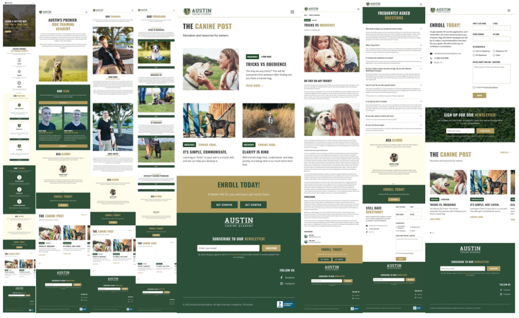 Website Build Example - ACA